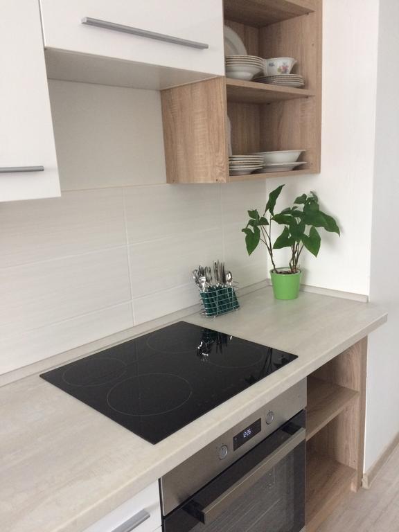 Apartman Namesti Horniku トルトノフ エクステリア 写真